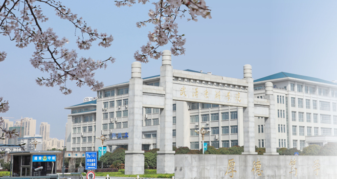 武汉东湖学院-新时代的芳华