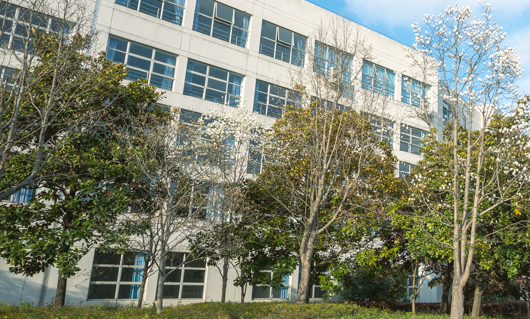 上海第二工业大学