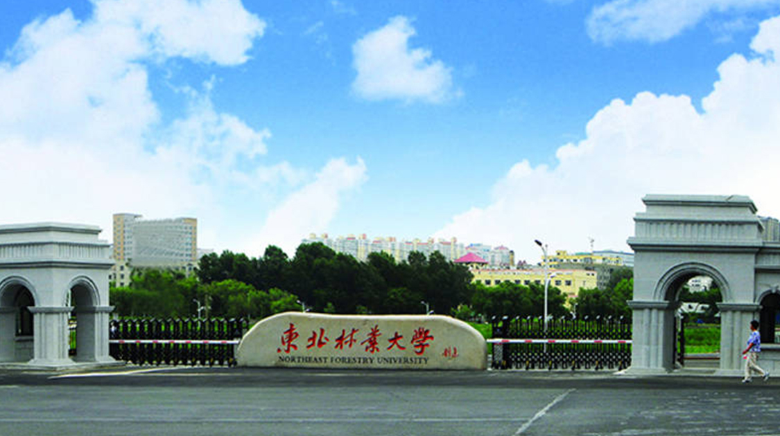 东北林业大学