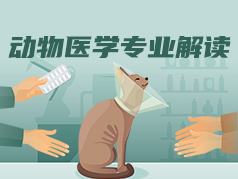 动物医学专业解读