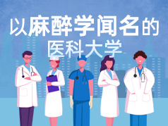 以麻醉学闻名的医科大学，很有潜力